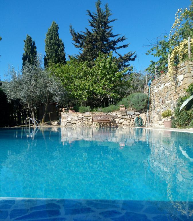 Casa Mezzuola Agriturismo Villa Greve in Chianti Ngoại thất bức ảnh